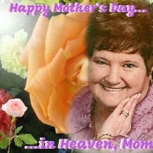 Meet your Posher, Jan